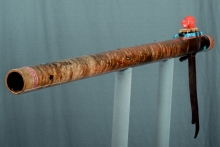 Tasmanian Blackwood Burl Native American Flute, Minor, Bass A-3, #N28E (5)